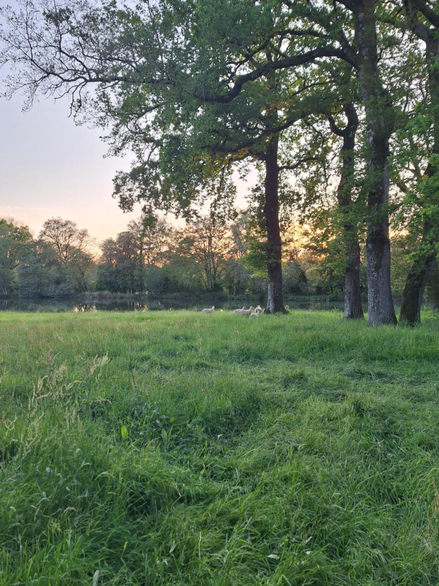 Domaine De Bobehec - Gite De Groupe, Chambres & Salle - 23 Personnes - Morbihan Proche Vannes Et Plages La Vraie-Croix Екстериор снимка